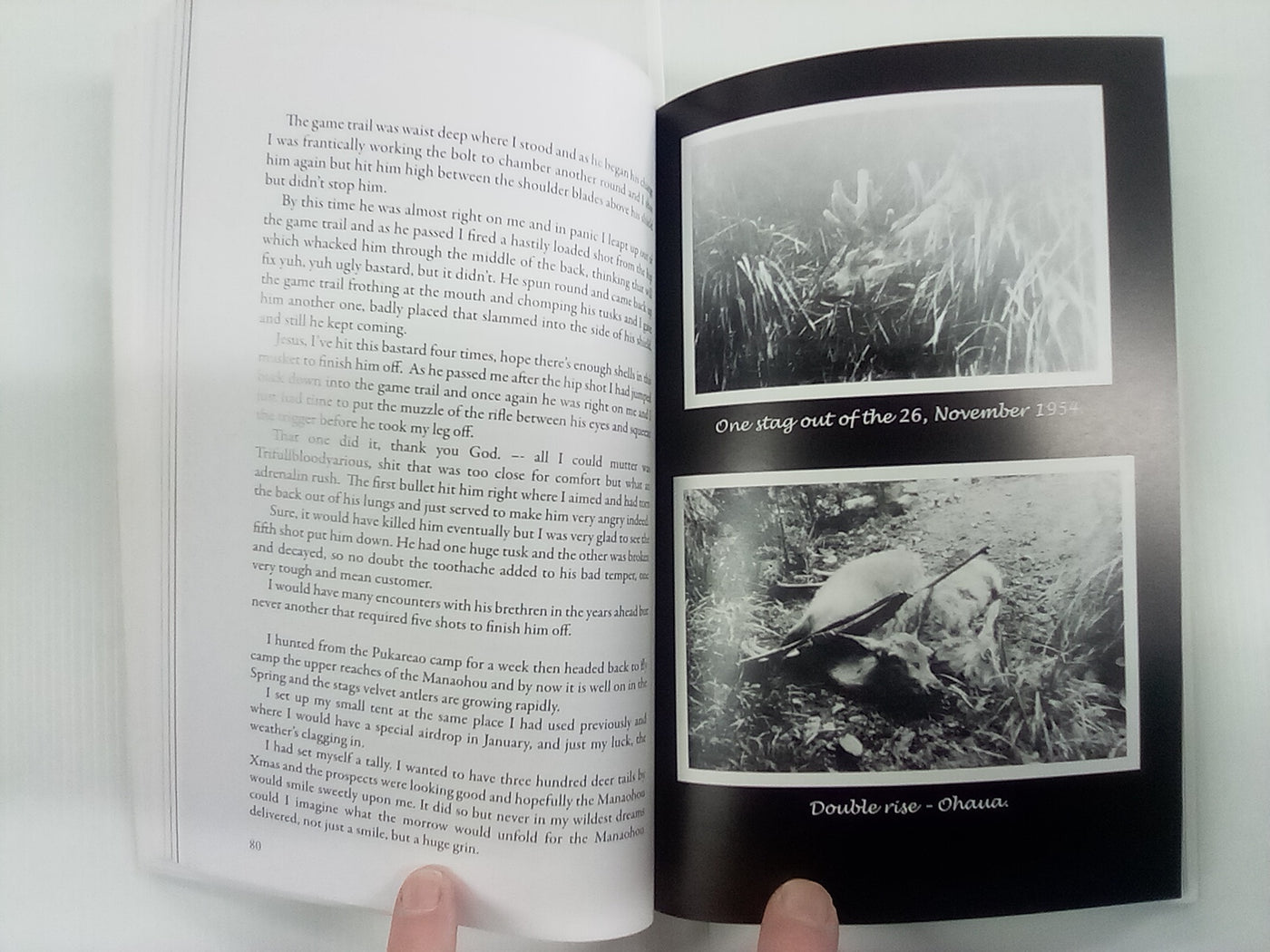 Jonesy's Deer Culling Days by Colin Jones