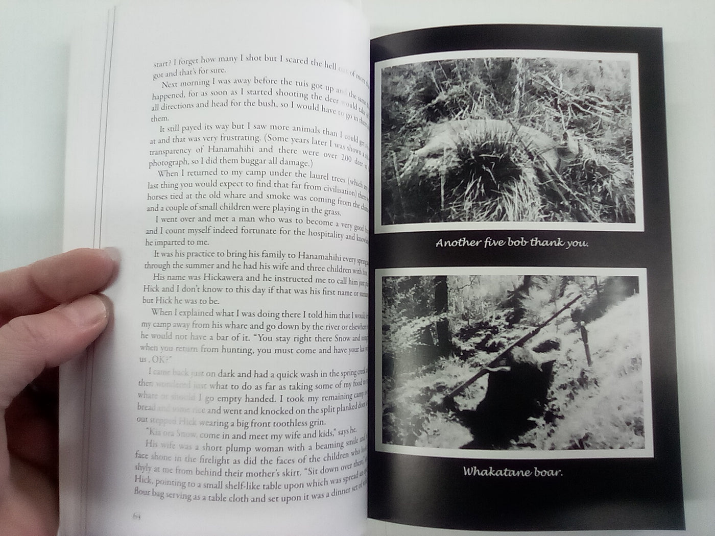 Jonesy's Deer Culling Days by Colin Jones