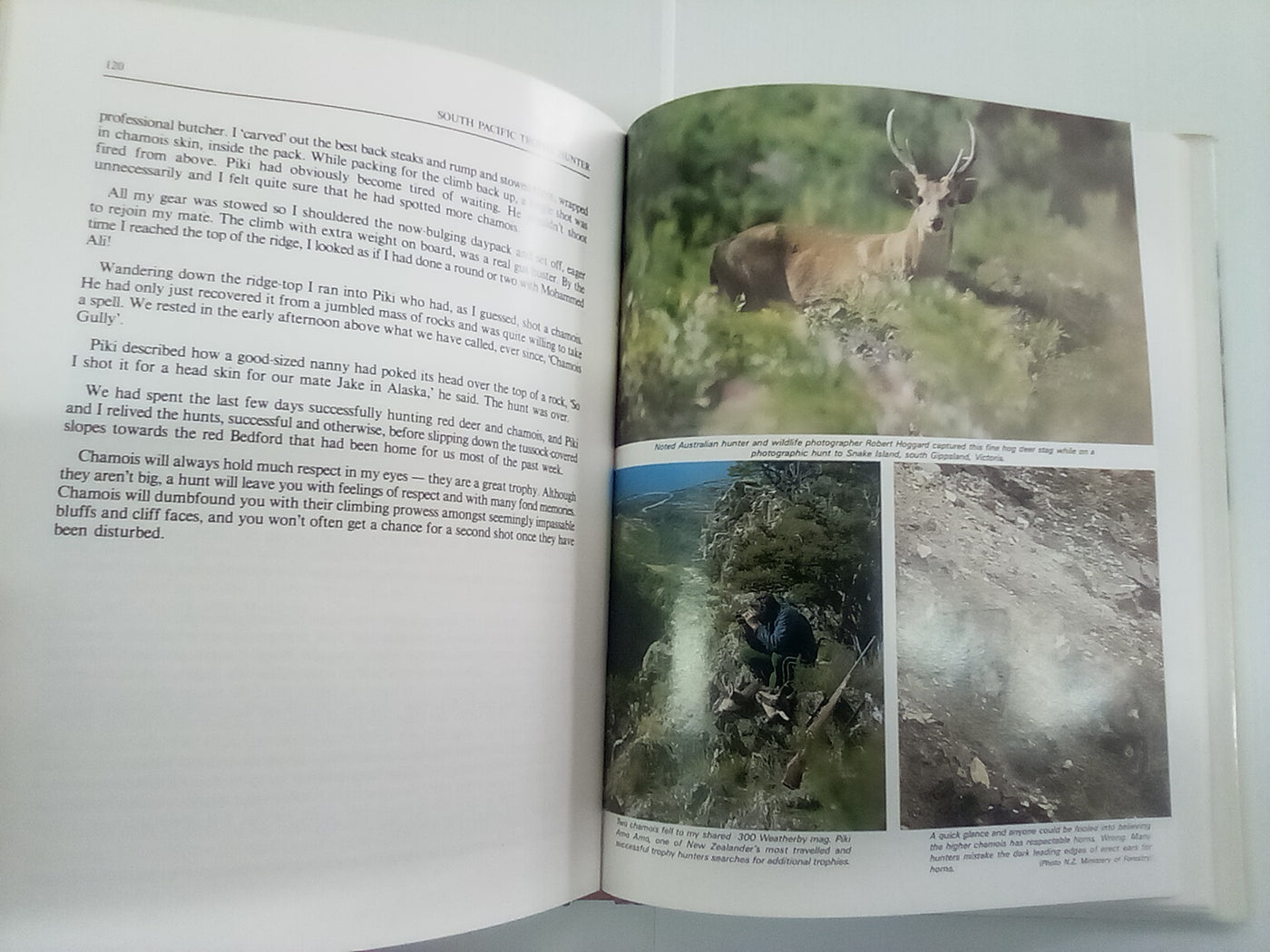 South Pacific Trophy Hunter by Murray Thomas