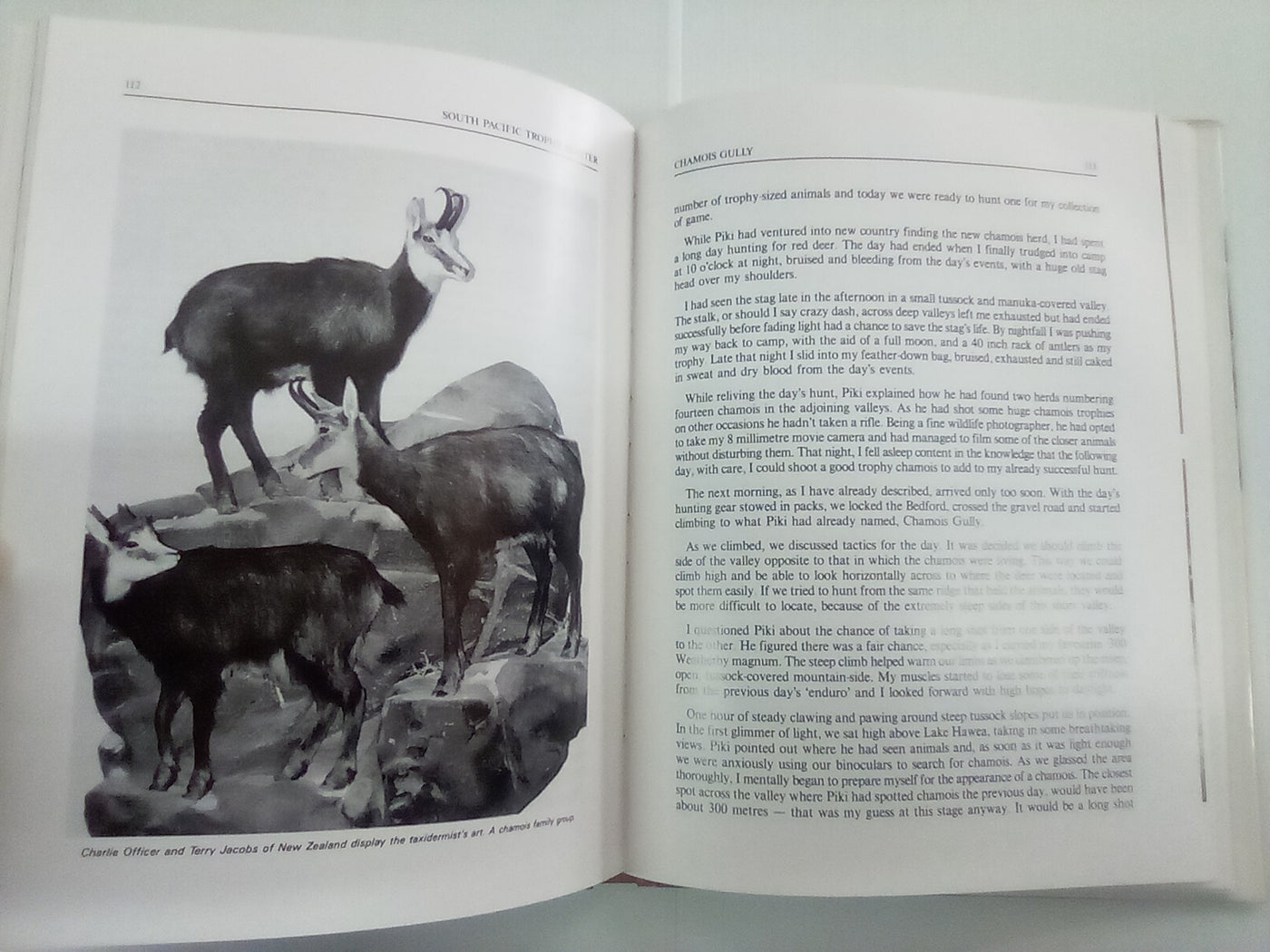 South Pacific Trophy Hunter by Murray Thomas
