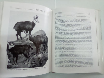 South Pacific Trophy Hunter by Murray Thomas