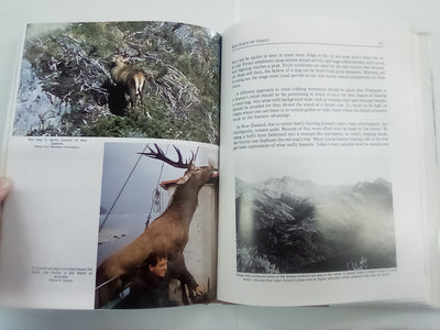 South Pacific Trophy Hunter by Murray Thomas