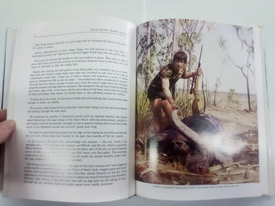 South Pacific Trophy Hunter by Murray Thomas