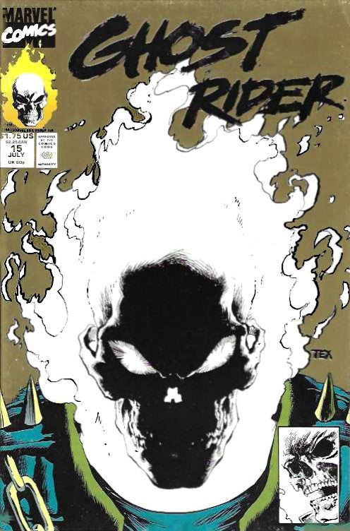 Ghost Rider (Volume 3) #15