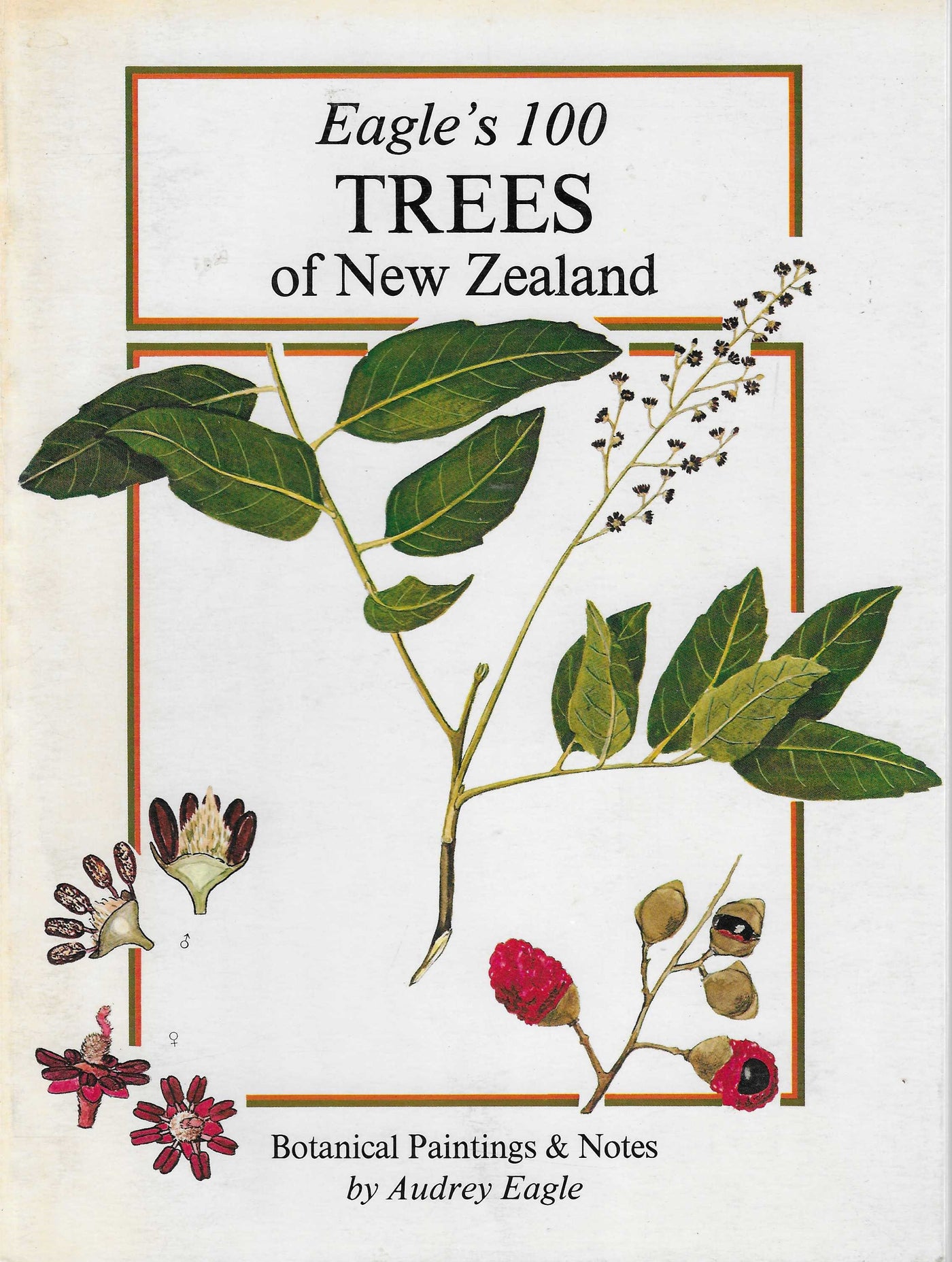 Eagle's 100 Trees of New Zealand