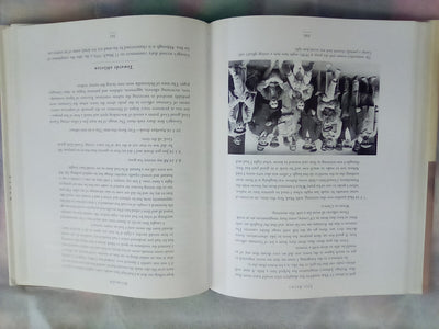 Lost ANZACs - The Story of Two Brothers by Greg Kerr