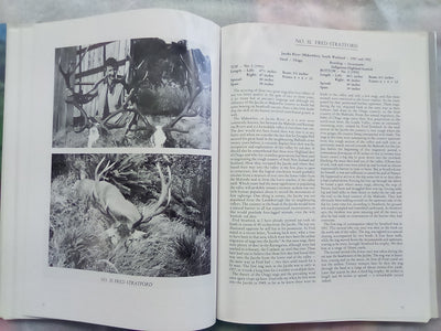 Great New Zealand Deer Heads Volume 1 (1986) by Bruce Banwell