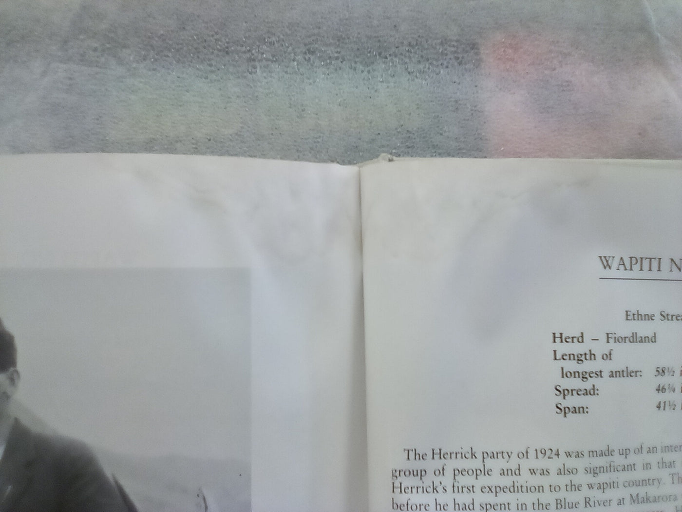 Great New Zealand Deer Heads Volume 1 (1986) by Bruce Banwell