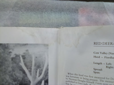 Great New Zealand Deer Heads Volume 1 (1986) by Bruce Banwell