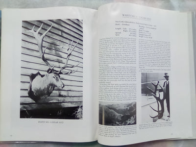 Great New Zealand Deer Heads Volume 1 (1986) by Bruce Banwell