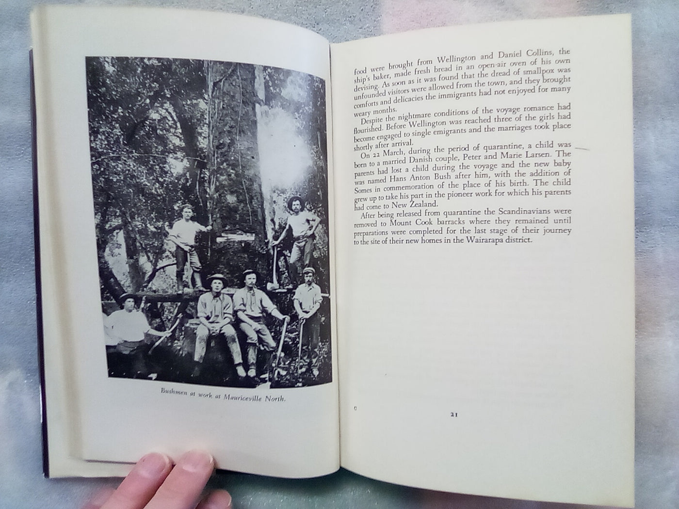 Forest Homes - Scandinavian Settlements in New Zealand by G.C. Petersen