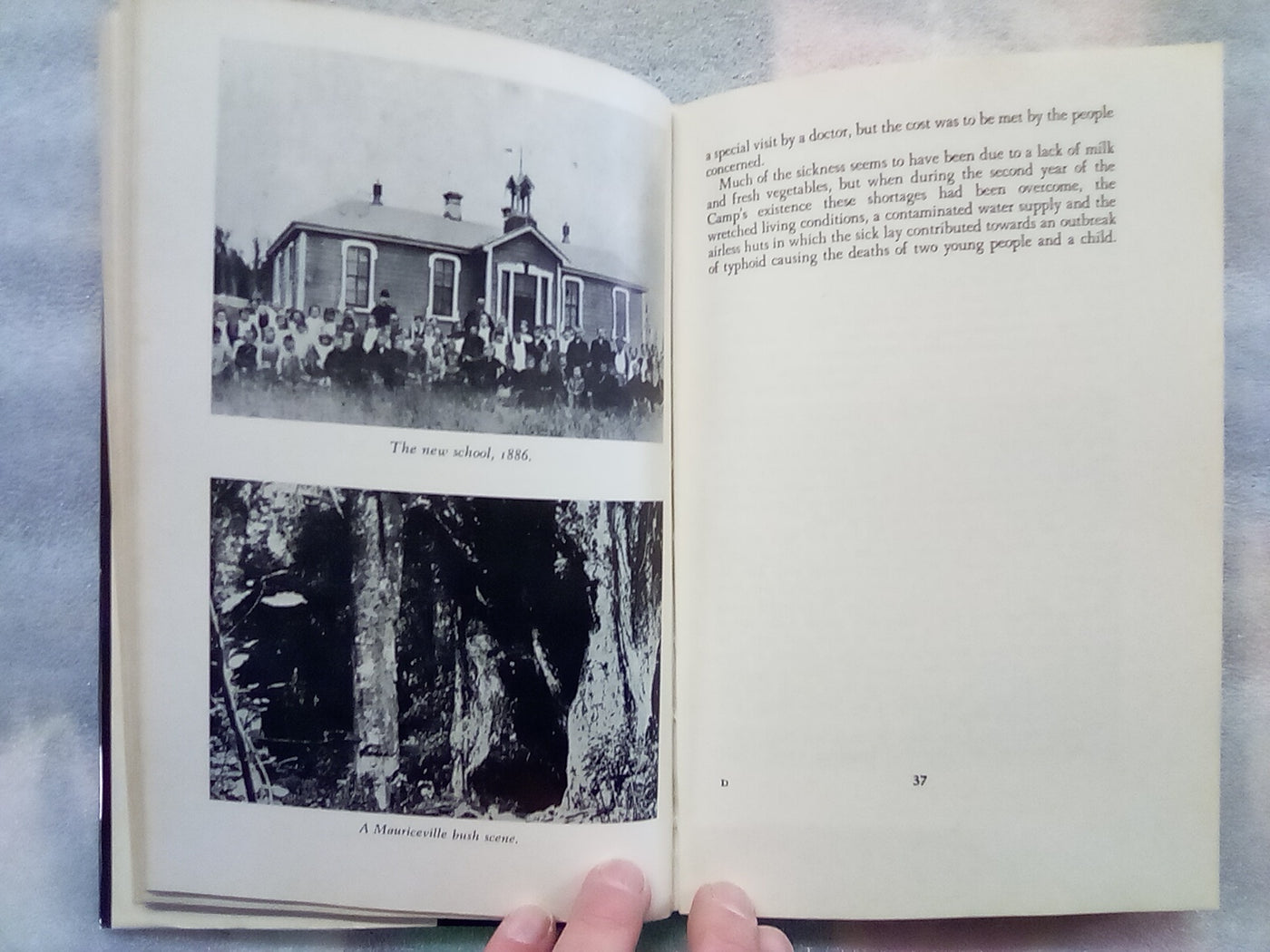 Forest Homes - Scandinavian Settlements in New Zealand by G.C. Petersen