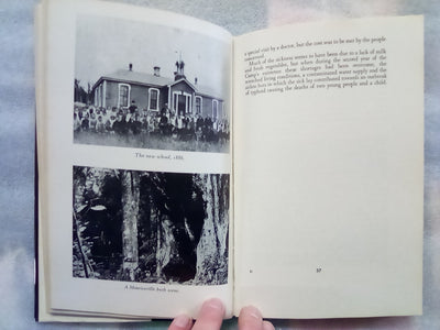 Forest Homes - Scandinavian Settlements in New Zealand by G.C. Petersen