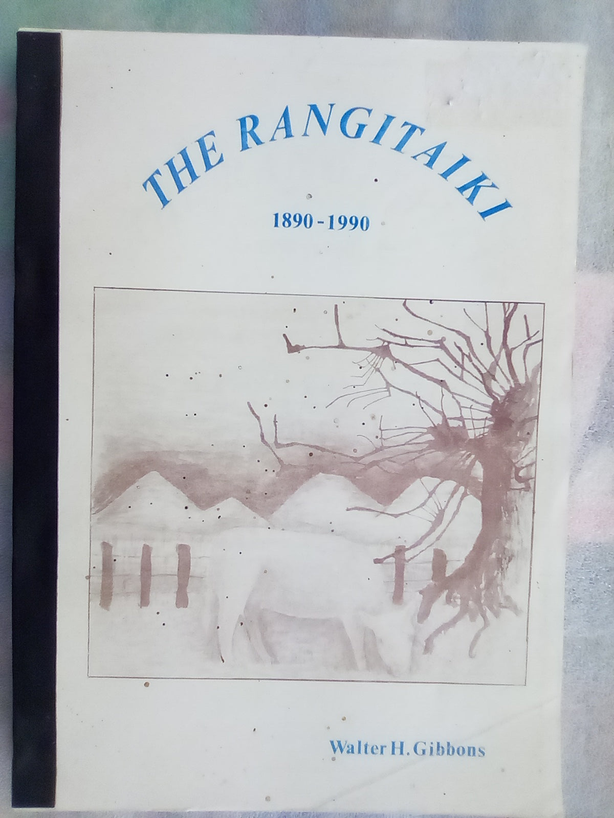 The Rangitaiki 1890-1990 - Settlement and Drainage by Walter H. Gibbons