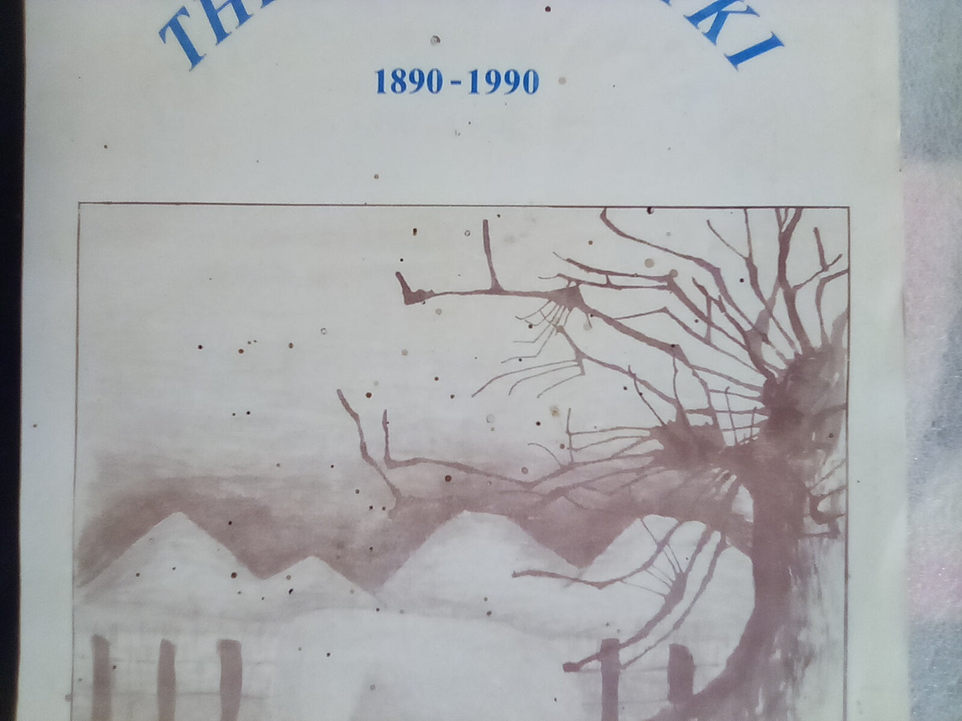 The Rangitaiki 1890-1990 - Settlement and Drainage by Walter H. Gibbons