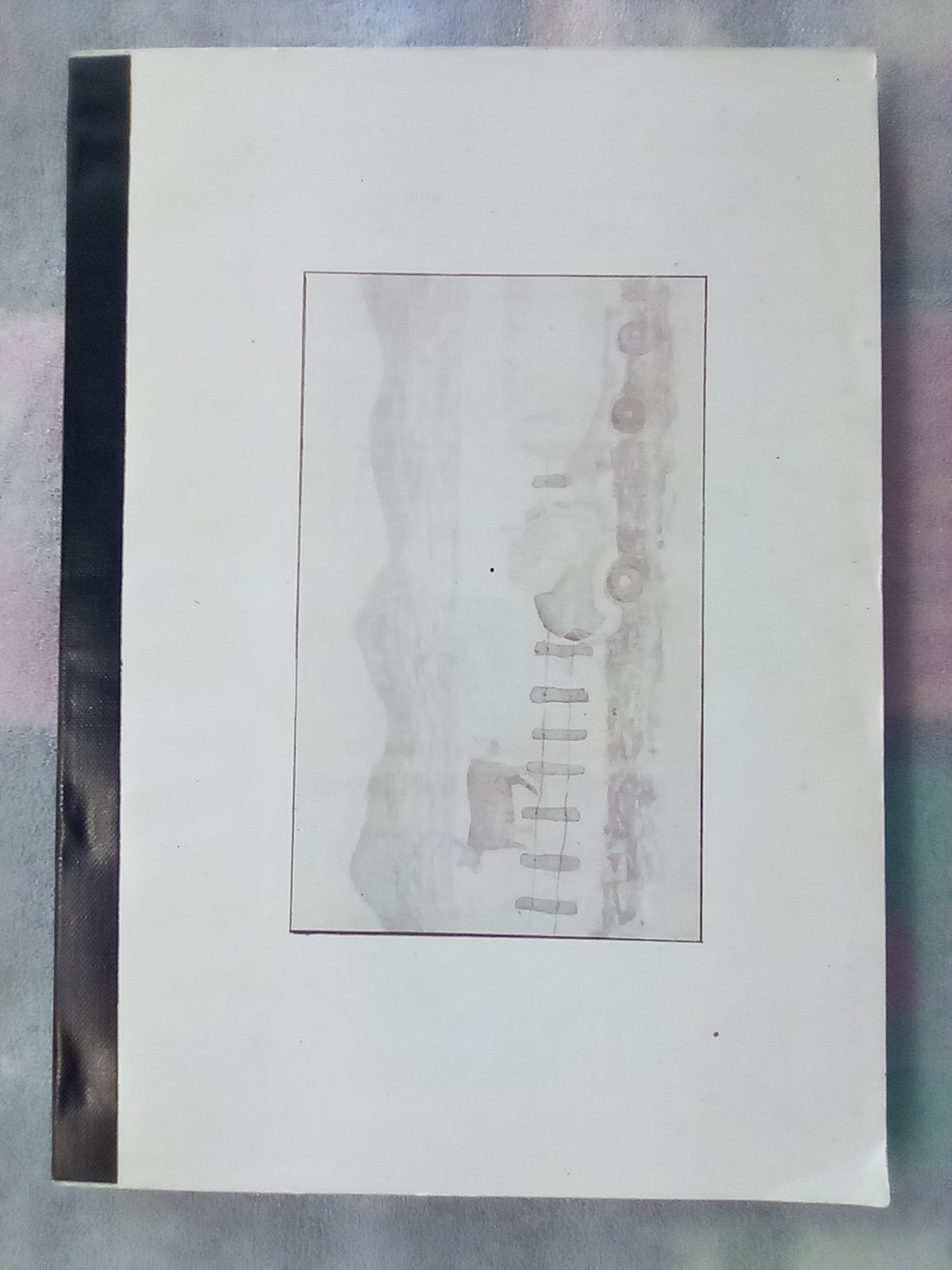 The Rangitaiki 1890-1990 - Settlement and Drainage by Walter H. Gibbons