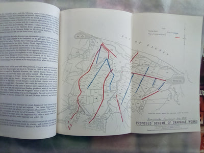 The Rangitaiki 1890-1990 - Settlement and Drainage by Walter H. Gibbons