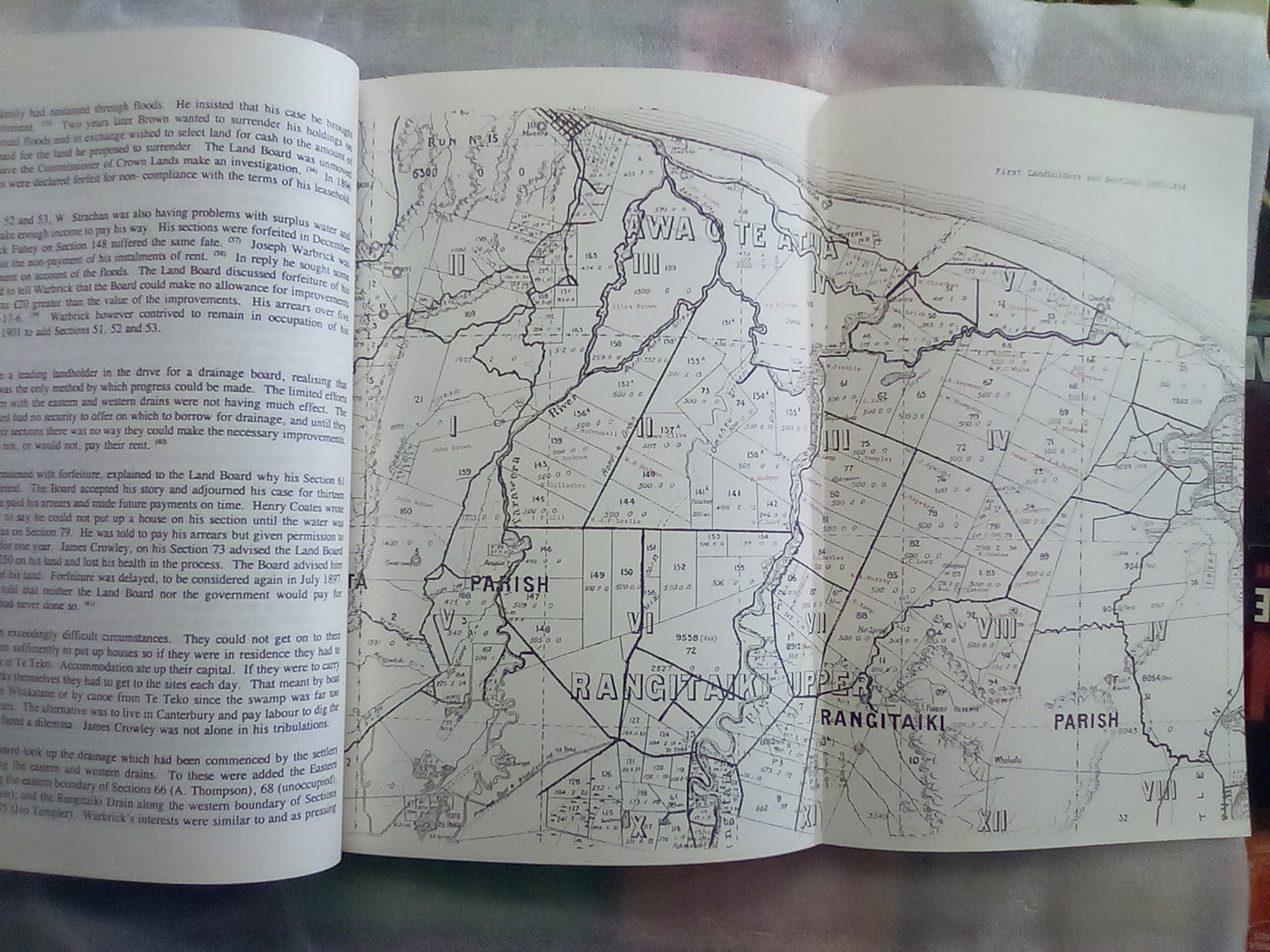 The Rangitaiki 1890-1990 - Settlement and Drainage by Walter H. Gibbons