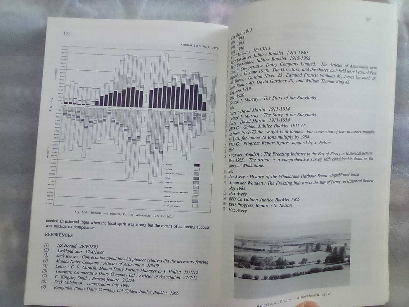 The Rangitaiki 1890-1990 - Settlement and Drainage by Walter H. Gibbons