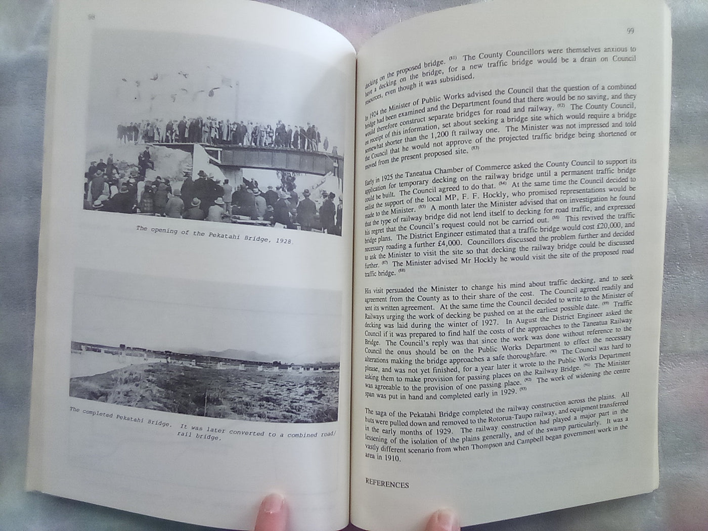 The Rangitaiki 1890-1990 - Settlement and Drainage by Walter H. Gibbons