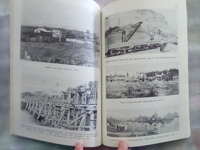 The Rangitaiki 1890-1990 - Settlement and Drainage by Walter H. Gibbons
