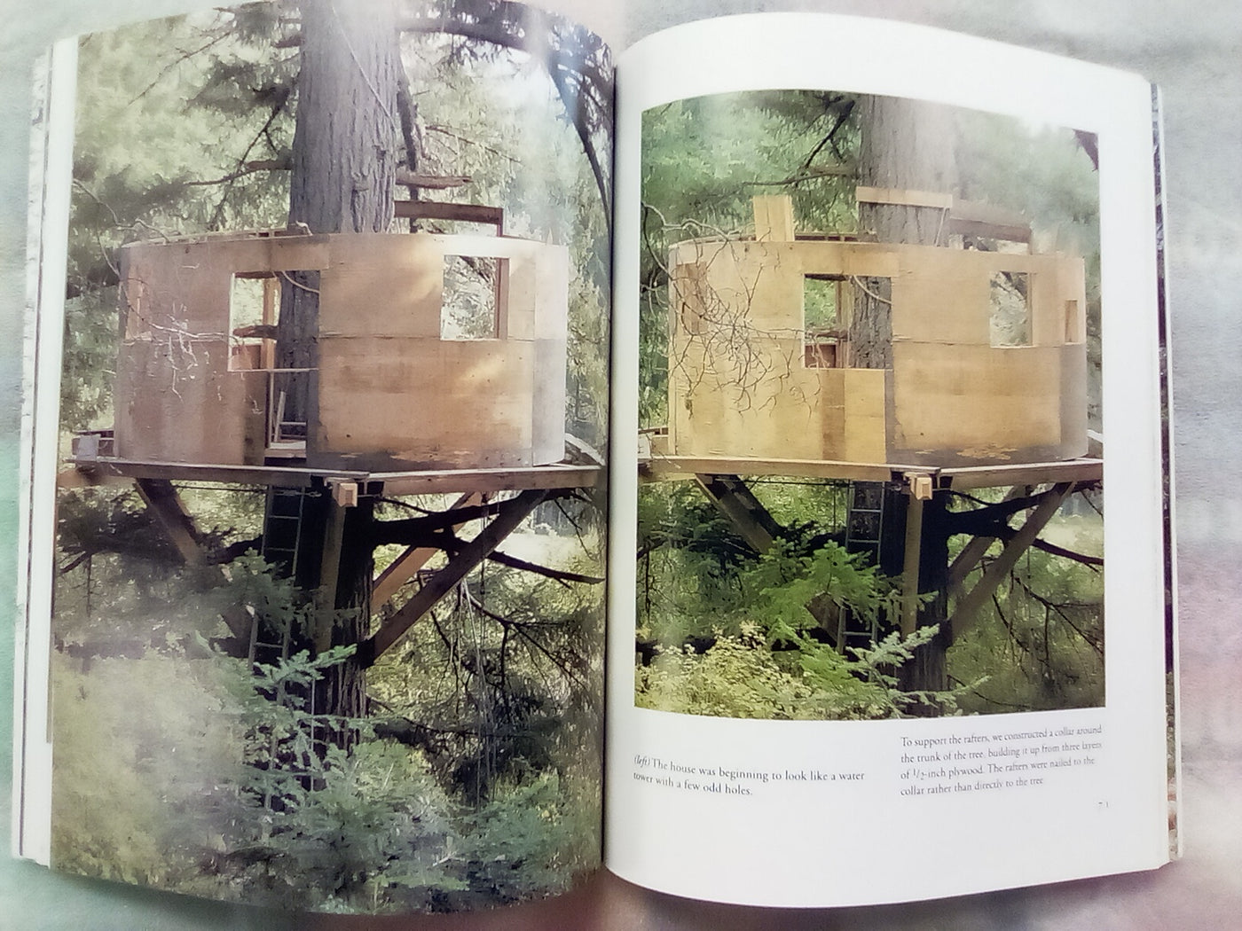Treehouses - The Art & Craft of Living Out on a Limb