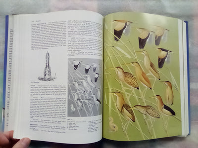 Handbook of Australian, New Zealand, & Antarctic Birds - Volume 1 Part B