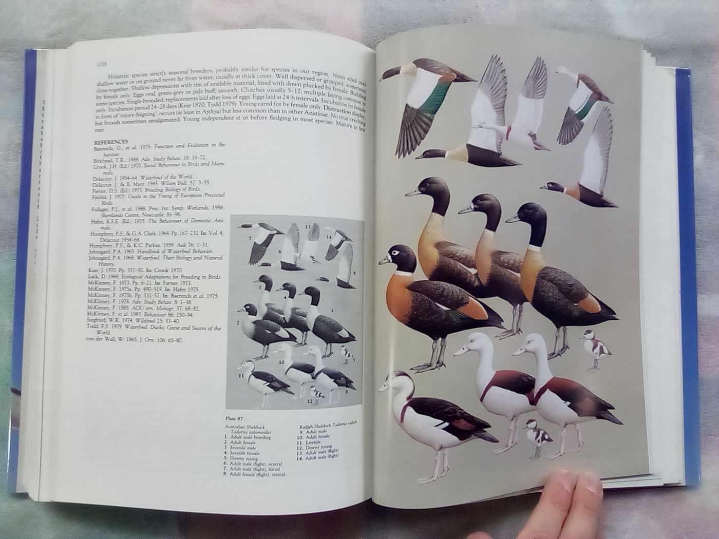 Handbook of Australian, New Zealand, & Antarctic Birds - Volume 1 Part B
