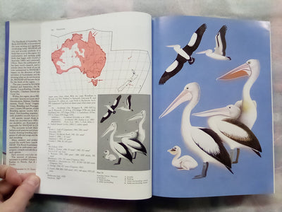 Handbook of Australian, New Zealand, & Antarctic Birds - Volume 1 Part B