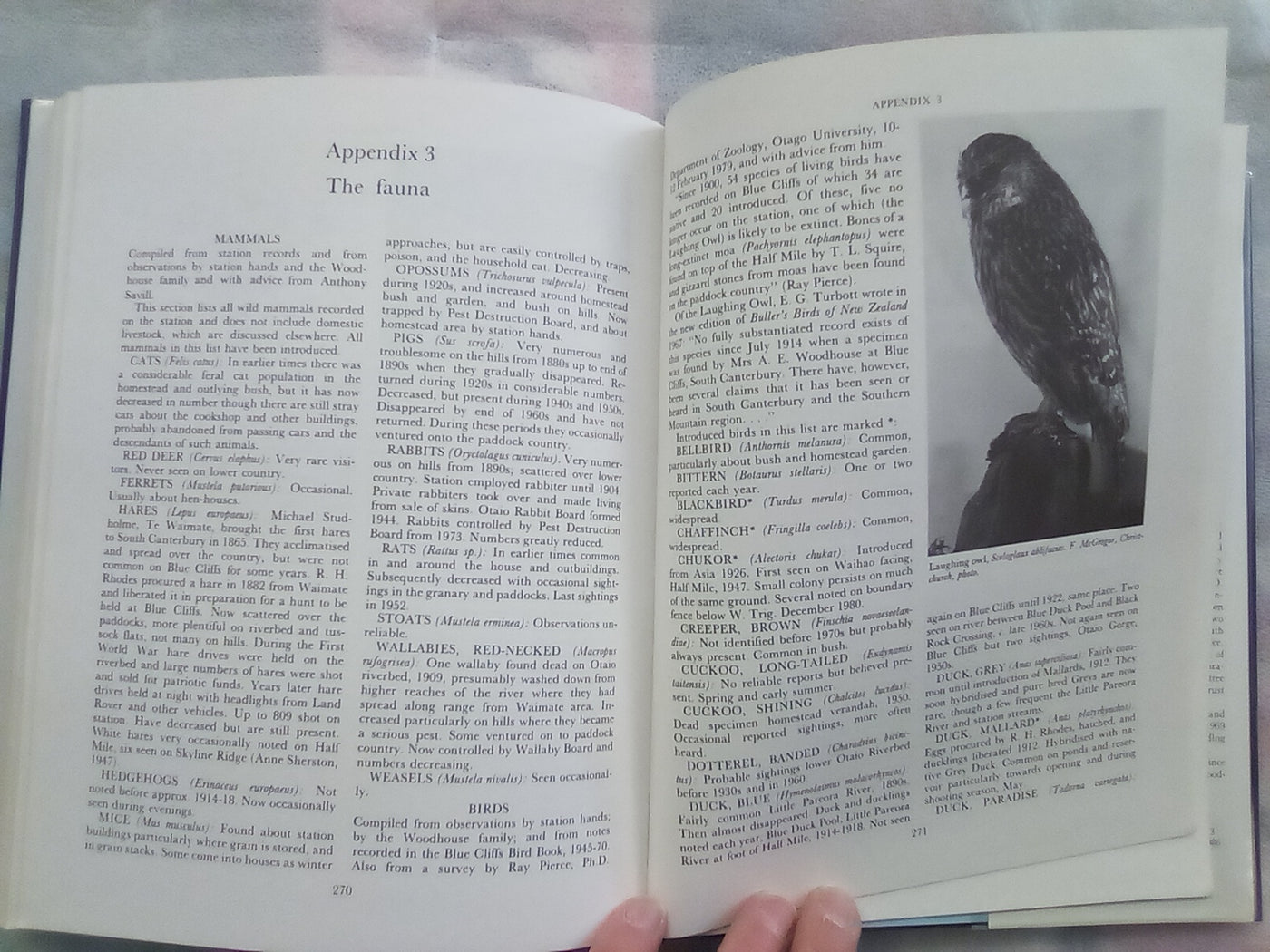 Blue Cliffs - The Biography of a South Canterbury Sheep Station 1856-1970