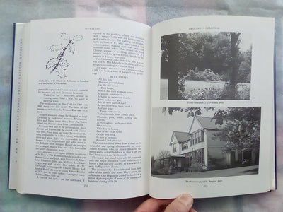 Blue Cliffs - The Biography of a South Canterbury Sheep Station 1856-1970
