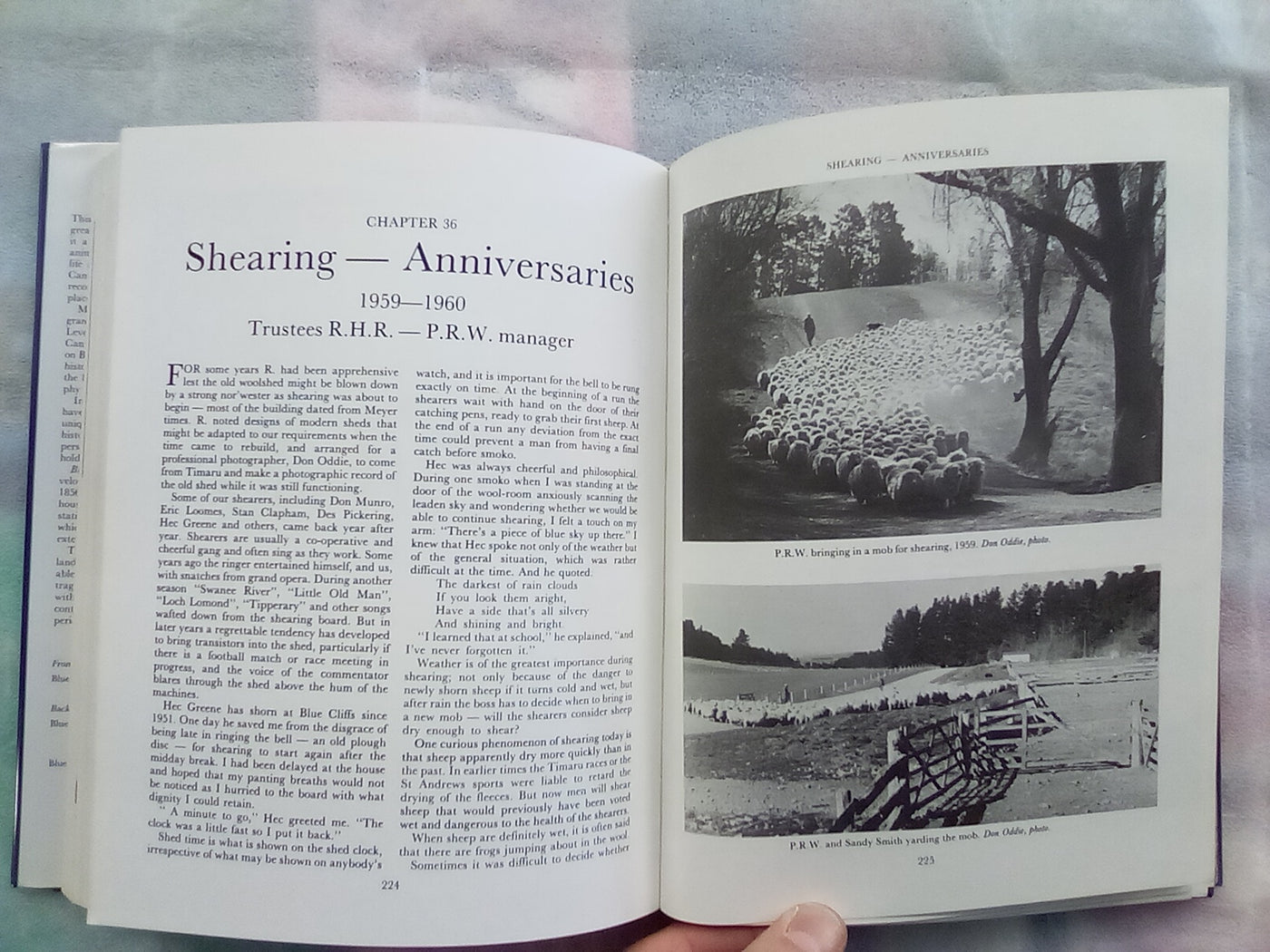 Blue Cliffs - The Biography of a South Canterbury Sheep Station 1856-1970