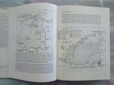 The Guernsey House by John McCormack