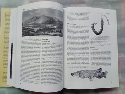 The Illustrated Encyclopedia of Maori Myth and Legend by Margaret Orbell