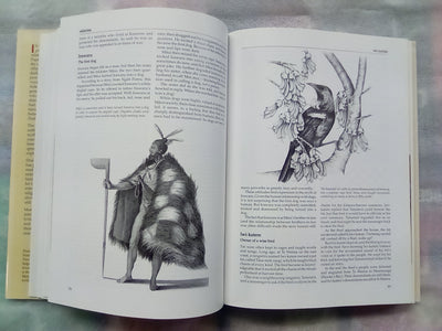 The Illustrated Encyclopedia of Maori Myth and Legend by Margaret Orbell