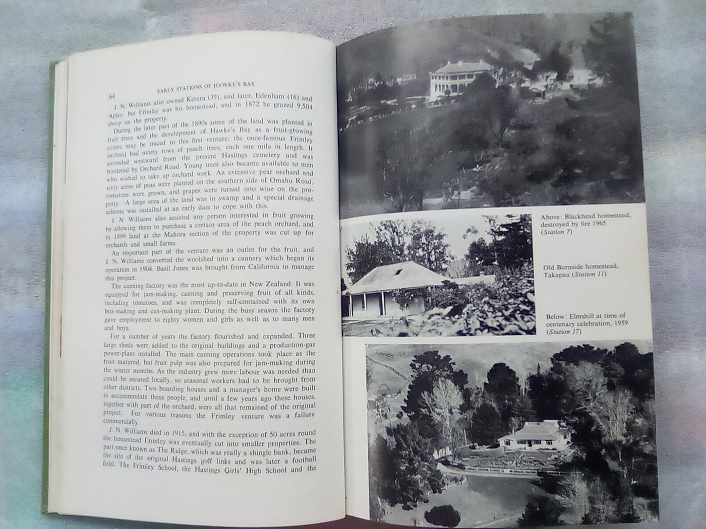 Early Stations of Hawkes Bay by Miriam MacGregor