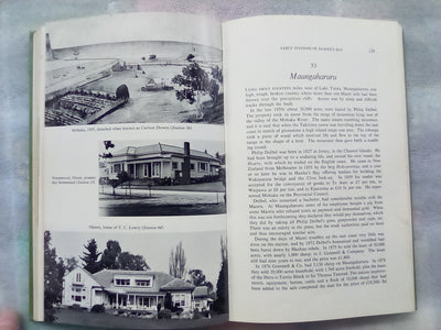 Early Stations of Hawkes Bay by Miriam MacGregor