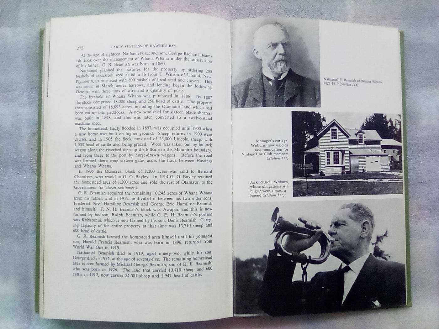 Early Stations of Hawkes Bay by Miriam MacGregor