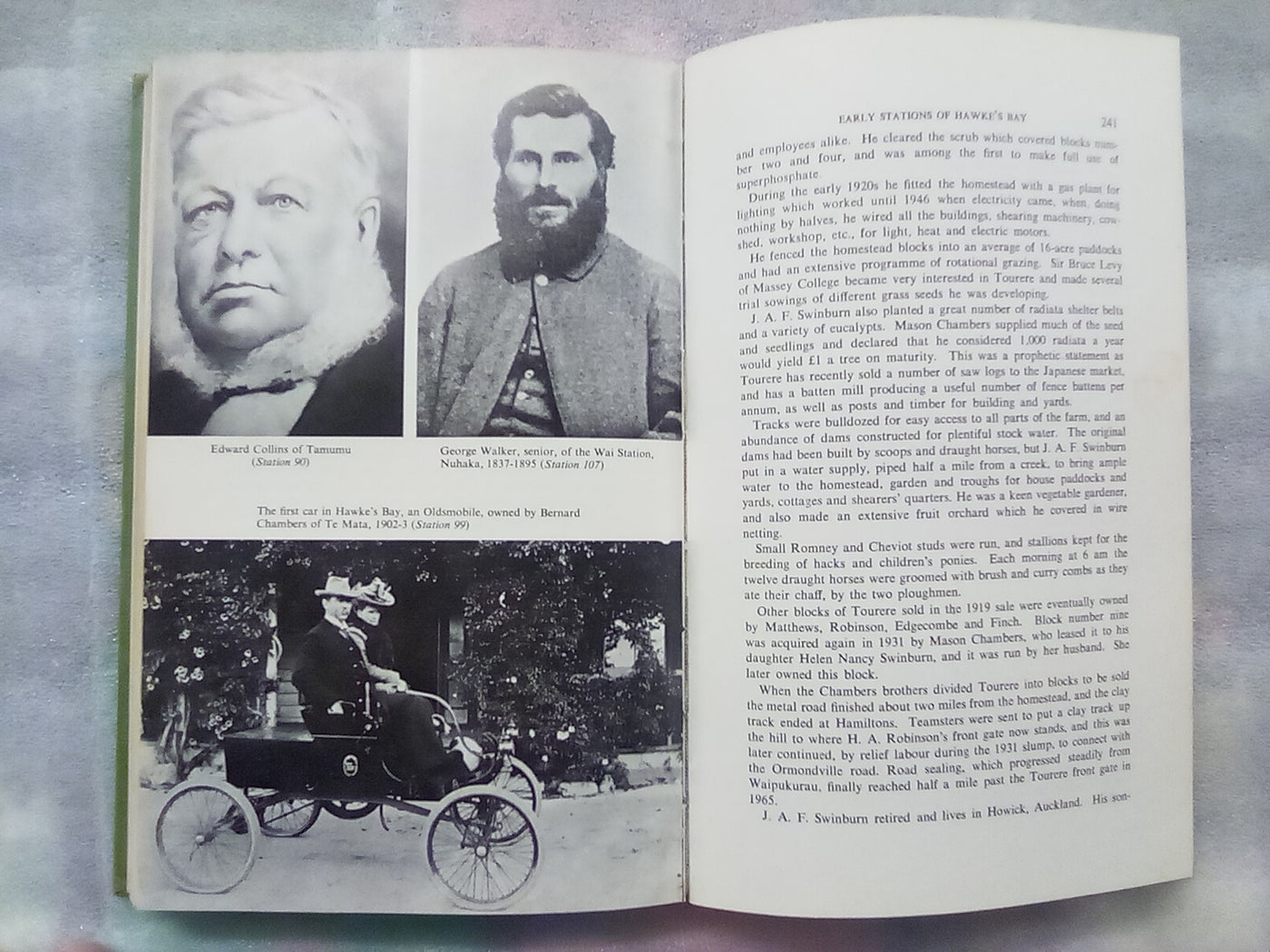 Early Stations of Hawkes Bay by Miriam MacGregor