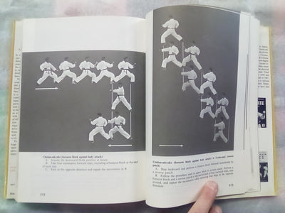 Dynamic Karate by Masatoshi Nakayama