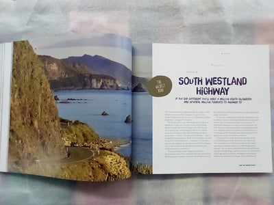 Wild Roads - A New Zealand Journey by Bruce Ansley
