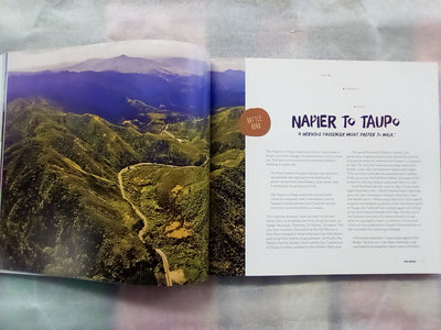 Wild Roads - A New Zealand Journey by Bruce Ansley