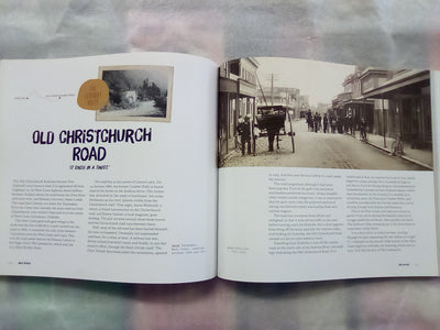 Wild Roads - A New Zealand Journey by Bruce Ansley