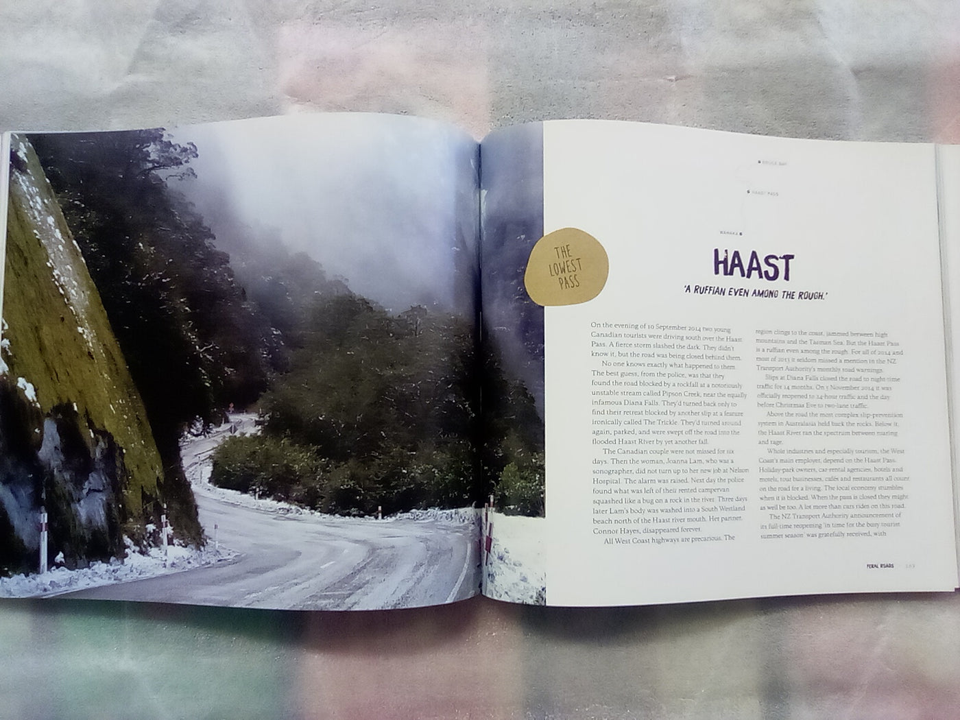 Wild Roads - A New Zealand Journey by Bruce Ansley