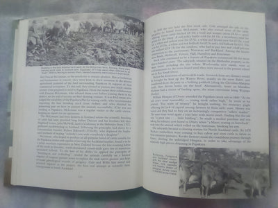 Breakwater Against the Tide - A History of Papakura City and Districts
