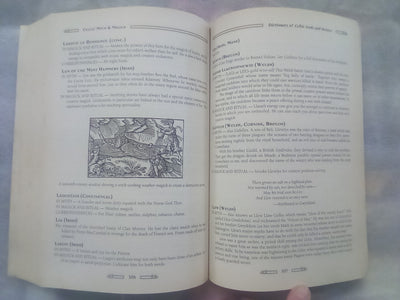 Celtic Myth & Magick by Edain McCoy