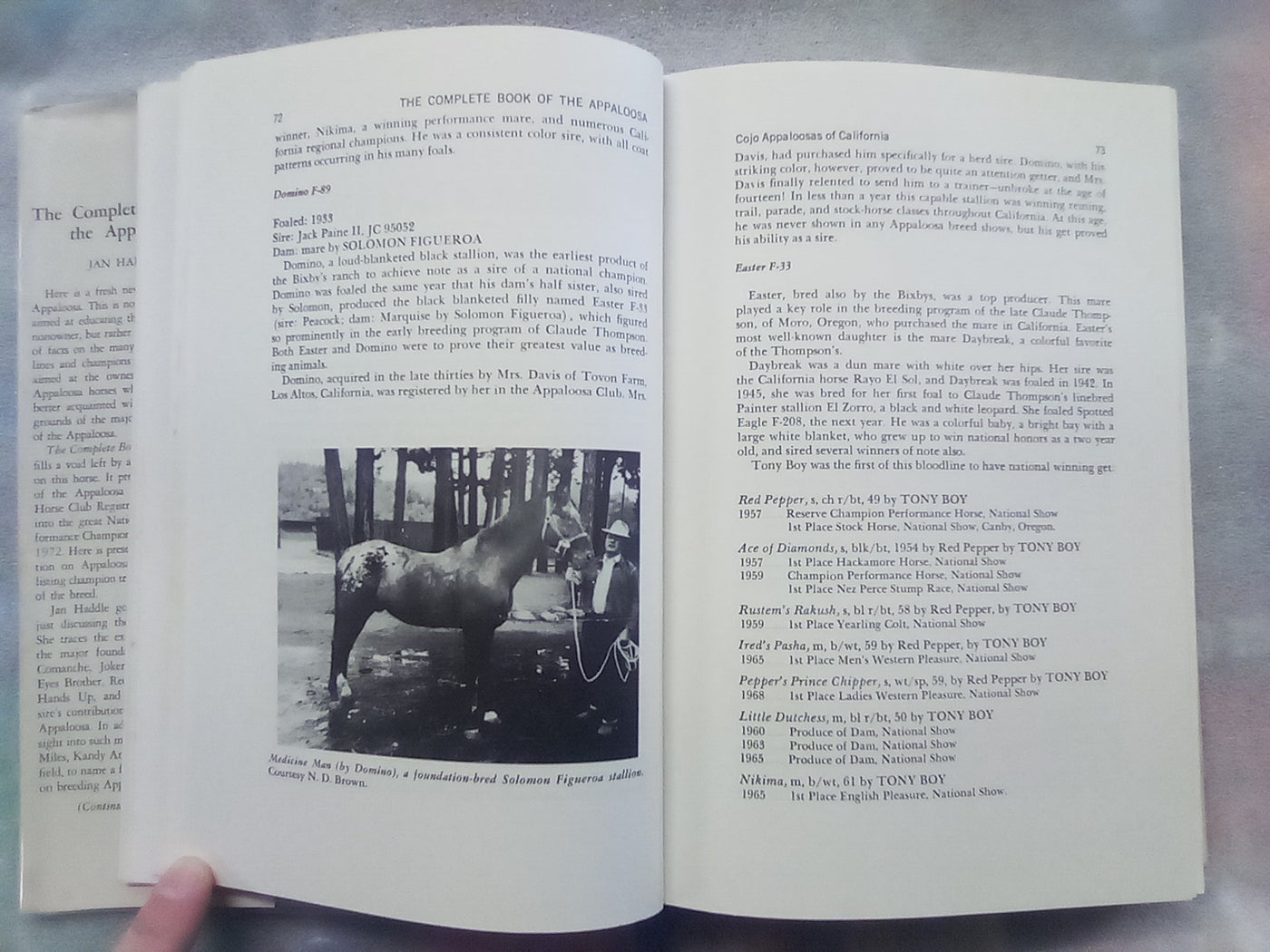 The Complete Book of the Appaloosa by Jan Haddle