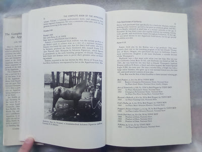 The Complete Book of the Appaloosa by Jan Haddle