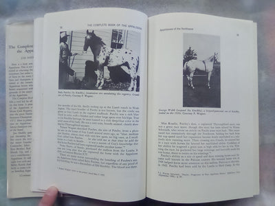 The Complete Book of the Appaloosa by Jan Haddle