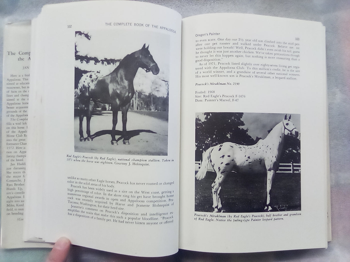 The Complete Book of the Appaloosa by Jan Haddle